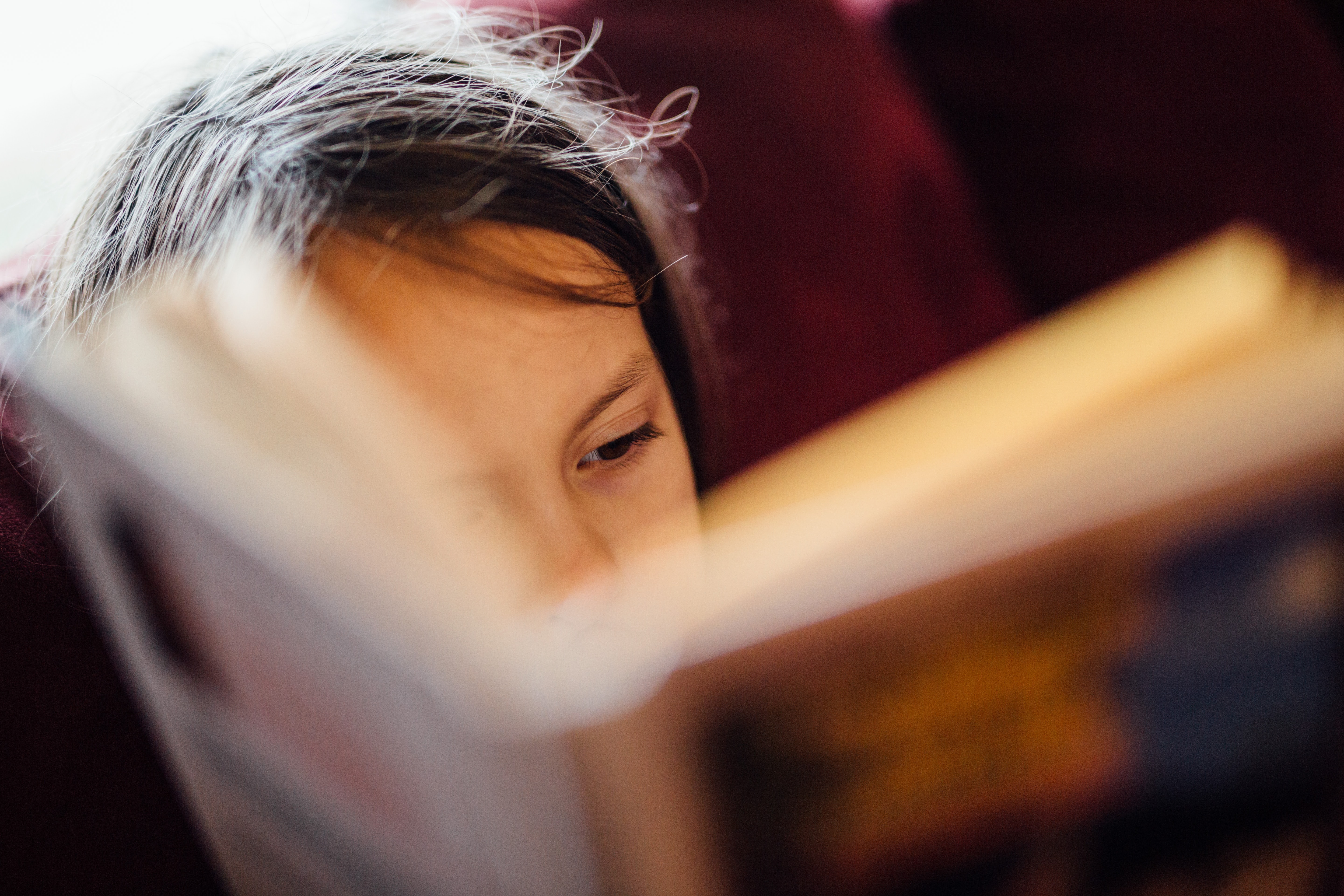 le plaisir de lire au collège